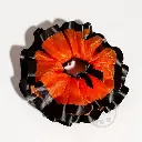 Tutú Deluxe Multicolor